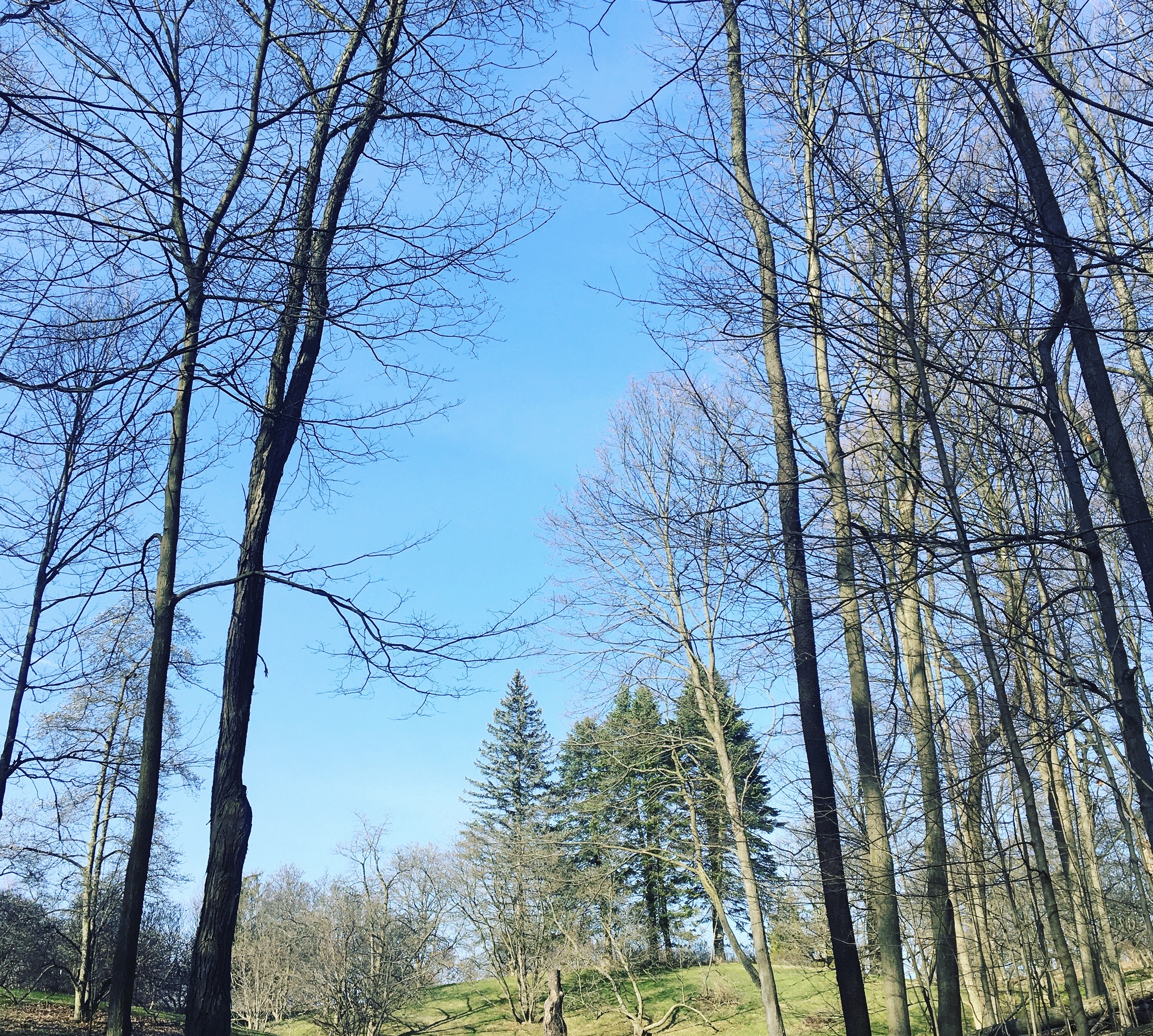 A2D6521A-2F74-4462-B055-909CAFFD00AD